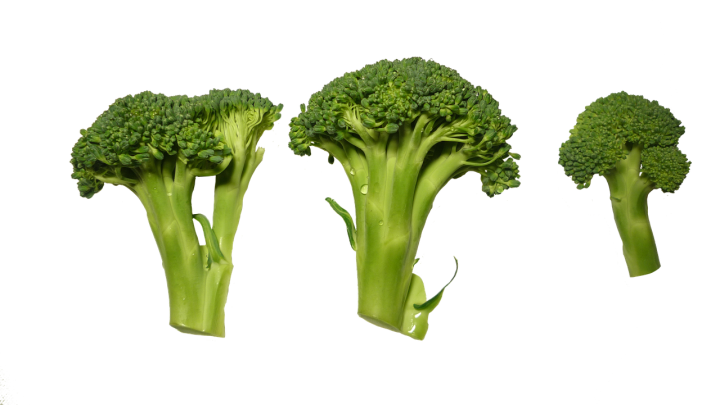 broccoli vegetable